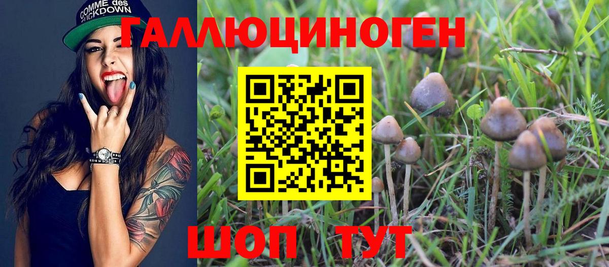 Галлюциногенные грибы мицелий  Псилоцибиновые грибы Psilocybe  Вход с VPN  Кумертау 